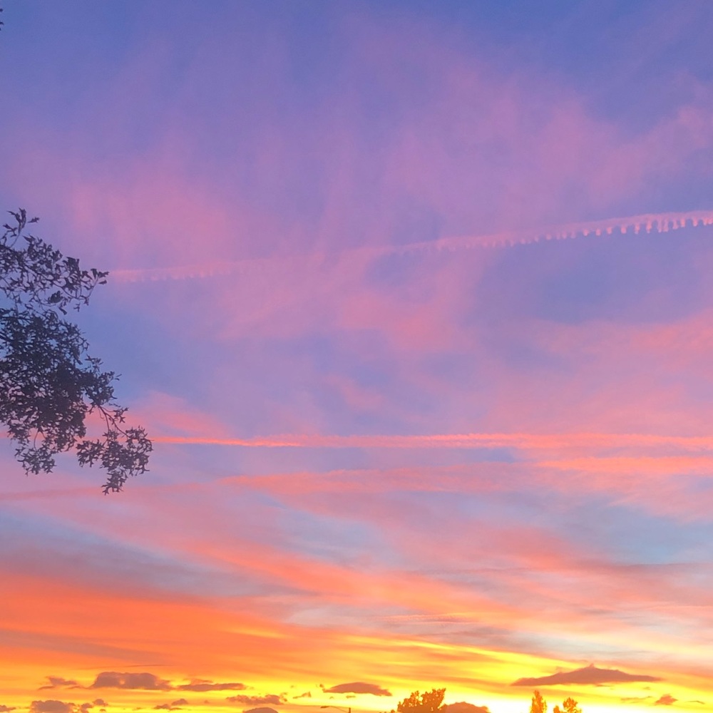 Meet your Posher, Hailey